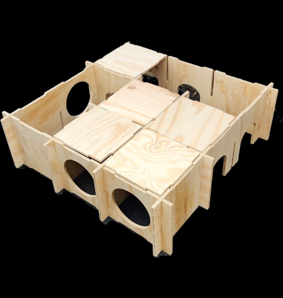 Rabbit Maze CNCathome