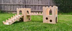 Guinea Pig twin castle