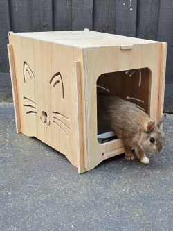 cat litter tray house!