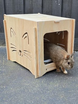 cat litter tray house!