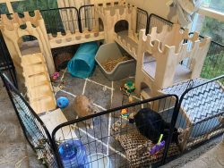 Classic Castle - Triple Large